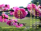 ֹ,ʡ󷨵ӹ編ִʦ𻪵(20)