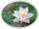 法轮功,广东大法弟子恭贺世界法轮大法日暨师尊华诞(25条)
