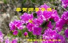 ֹ,ʡ󷨵ӹ編ִʦ𻪵(20)