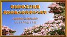 ֹ,󷨵ӹ編ִʦ𻪵(25)