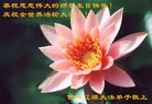 ֹ,ʡ󷨵ӹ編ִʦ𻪵(20)
