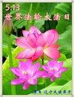 ֹ,󷨵ӹ編ִʦ𻪵(22)