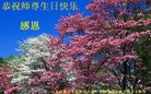 ֹ,Ϋ󷨵ӹ編ִʦ𻪵(21)