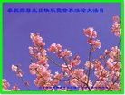 ֹ,Ϋ󷨵ӹ編ִʦ𻪵(21)