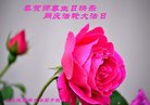 ֹ,ɽ󷨵ӹ編ִʦ𻪵(25)