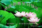 ֹ,Ĵ󷨵ӹ編ִʦ𻪵(23)