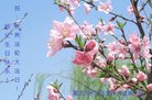 ֹ,󷨵ӹ編ִʦ𻪵(21)