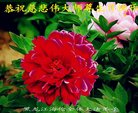 ֹ,󷨵ӹ編ִʦ𻪵(23)