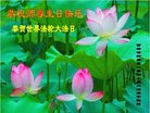 ֹ,ʡ󷨵ӹ編ִʦ𻪵(19)