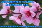 ֹ,ɶ󷨵ӹ編ִʦ𻪵(22)