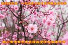 ֹ,ɶ󷨵ӹ編ִʦ𻪵(22)