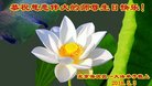 ֹ,󷨵ӹ編ִʦ𻪵(20)