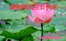 法轮功,黑龙江大法弟子恭贺世界法轮大法日暨师尊华诞(23条)