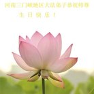 法轮功,河南大法弟子恭贺世界法轮大法日暨师尊华诞(23条)