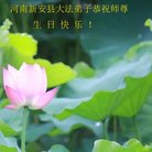 法轮功,河南大法弟子恭贺世界法轮大法日暨师尊华诞(23条)