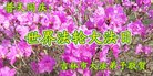 ֹ,д󷨵ӹ編ִʦ𻪵(21)