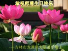 ֹ,д󷨵ӹ編ִʦ𻪵(21)