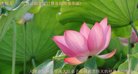 ֹ,󷨵ӹ編ִʦ𻪵(21)