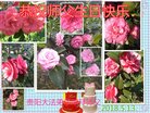 ֹ,ݴ󷨵ӹ編ִʦ𻪵(21)