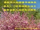 法轮功,大庆大法弟子恭贺世界法轮大法日暨师尊华诞(19条)