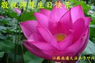 ֹ,մ󷨵ӹ編ִʦ𻪵(23)