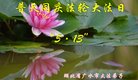 ֹ,󷨵ӹ編ִʦ𻪵(22)
