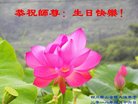 ֹ,Ĵ󷨵ӹ編ִʦ𻪵(20)