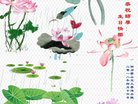 法轮功,四川大法弟子恭贺世界法轮大法日暨师尊华诞(20条)