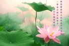 ֹ,Ϋ󷨵ӹ編ִʦ𻪵(21)