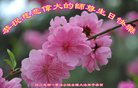 ֹ,ɶ󷨵ӹ編ִʦ𻪵(24)