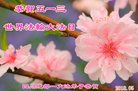 ֹ,ɶ󷨵ӹ編ִʦ𻪵(24)