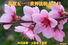 ֹ,ɶ󷨵ӹ編ִʦ𻪵(24)