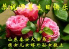 法轮功,山东大法弟子恭贺世界法轮大法日暨师尊华诞(21条)