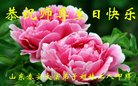 ֹ,ɽ󷨵ӹ編ִʦ𻪵(21)