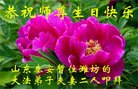 ֹ,ɽ󷨵ӹ編ִʦ𻪵(21)