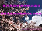 ֹ,󷨵ӹ編ִʦ𻪵(21)