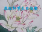 法轮功,河北大法弟子恭贺世界法轮大法日暨师尊华诞(22条)
