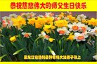 ֹ,󷨵ӹ編ִʦ𻪵(20)