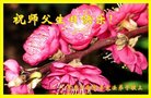ֹ,󷨵ӹ編ִʦ𻪵(20)