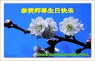 ֹ,ʡ󷨵ӹ編ִʦ𻪵(26)
