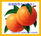 ֹ,ӱ󷨵ӹ編ִʦ𻪵(22)