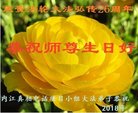 法轮功,四川大法弟子恭贺世界法轮大法日暨师尊华诞(24条)