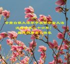 ֹ,󷨵ӹ編ִʦ𻪵(23)