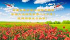 ֹ,󷨵ӹ編ִʦ𻪵(23)