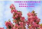ֹ,󷨵ӹ編ִʦ𻪵(23)