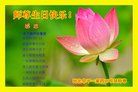 ֹ,ӱ󷨵ӹ編ִʦ𻪵(27)