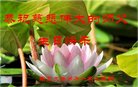 ֹ,մ󷨵ӹ編ִʦ𻪵(23)