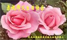 ֹ,󷨵ӹ編ִʦ𻪵(20)
