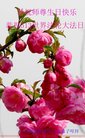 ֹ,󷨵ӹ編ִʦ𻪵(20)