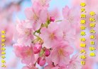 ֹ,󷨵ӹ編ִʦ𻪵(22)
